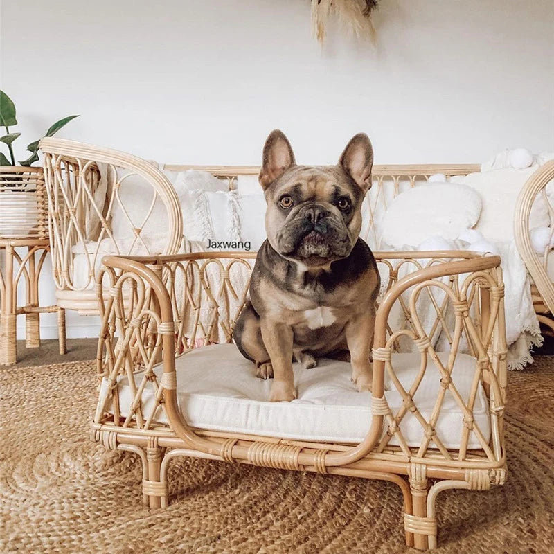 Kaliyah Plastic Pet Bed