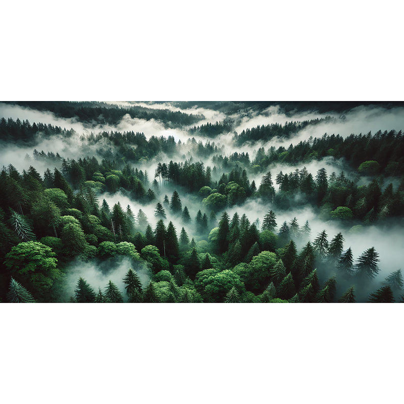 «Mystical Forest Mist - Enchanting Woodland», art sur toile, H 20 po x l 40 po