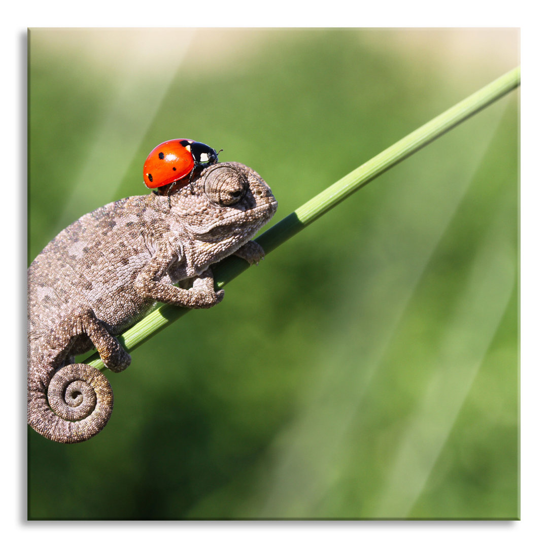 Ungerahmtes Foto auf Glas "Süßer Gecko mit Marienkäfer"