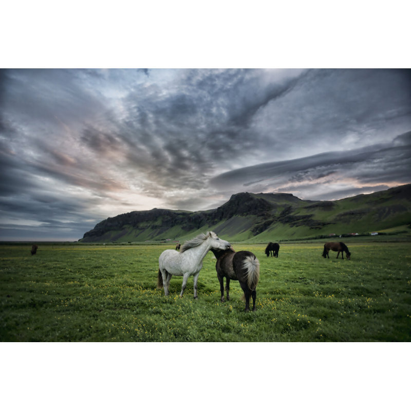Chevaux Islandais, H 20 po x l 30 po x P 1,25 po