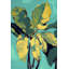 Wrapped Canvas Print-540548296