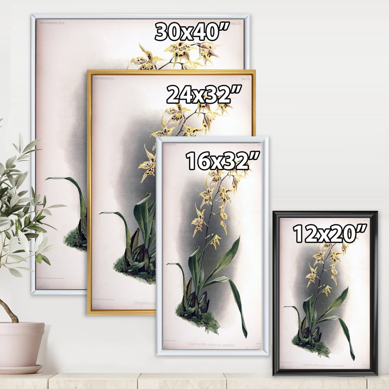 Fleur d'orchidée rétro - peinture sur toile, H 20 po x l 12 po x P 1po, Cadre flottant doré