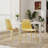 AlmedaCheatham 18.3'' H Side Chair-1738173483