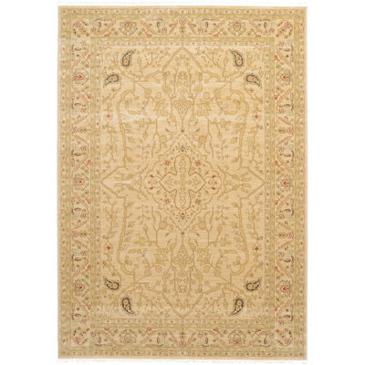 Stirling Oriental Indoor Rug
