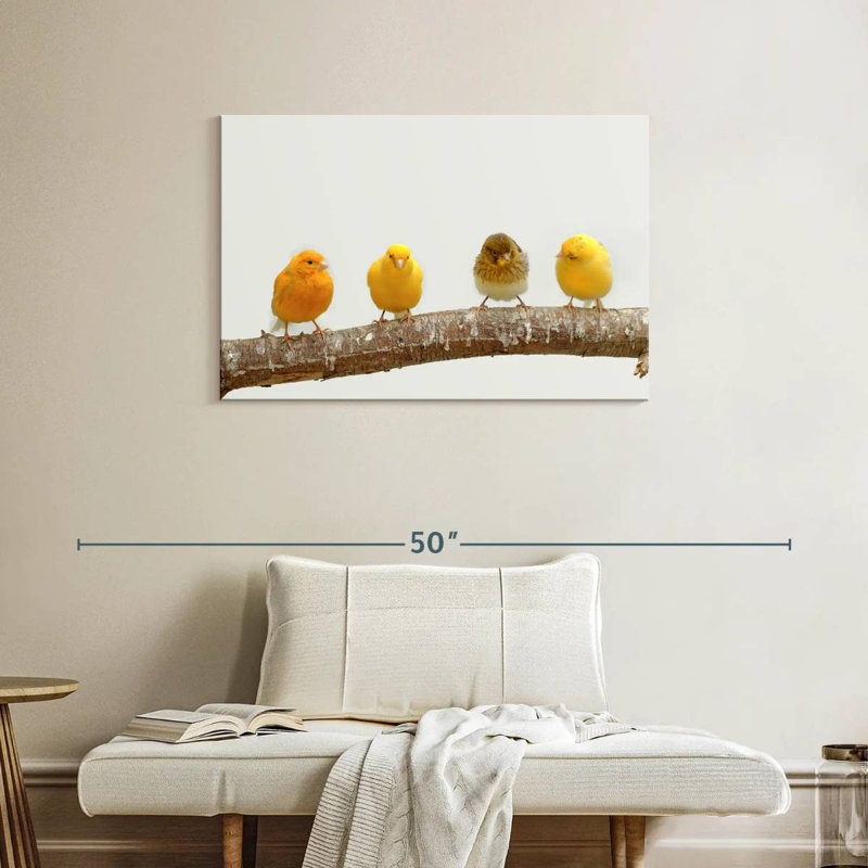 Brampt Four Canary Birds, 24" H x 36" W