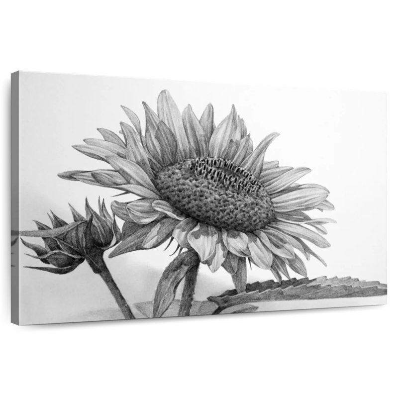 Harnek tournesol noir et blanc, H 16 po x l 24 po