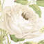 Loudon Rose Wallpaper-55967386