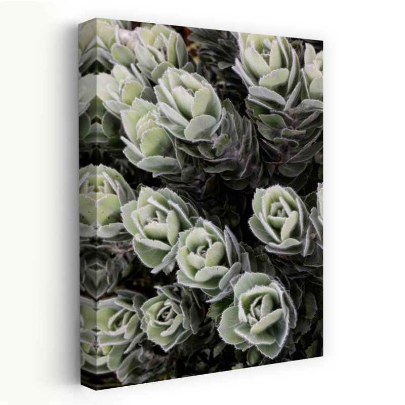 Art contemporain, art abstrait moderne, plante grasse, H 36 po x l 24 po