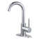 Concord Single Hole Bathroom Faucet with Drain Assembly