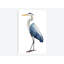 «Seabird Heron I» par Grace Popp - impression sur toile-29283671-74747672-74747678