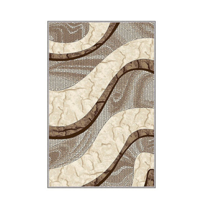 Stylish Hall Carpet (3.3 x 6.6 ft), 100% Polyester, 0.3 in Pile Height | Antibacterial, Non-Slip PVC Felt Dot Underside | Machine Washable, 3D Digital Print, Durable & Easy to Clean | Perfect for Entryway & Living Areas