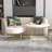 Amauche Frame Coffee Table with Storage