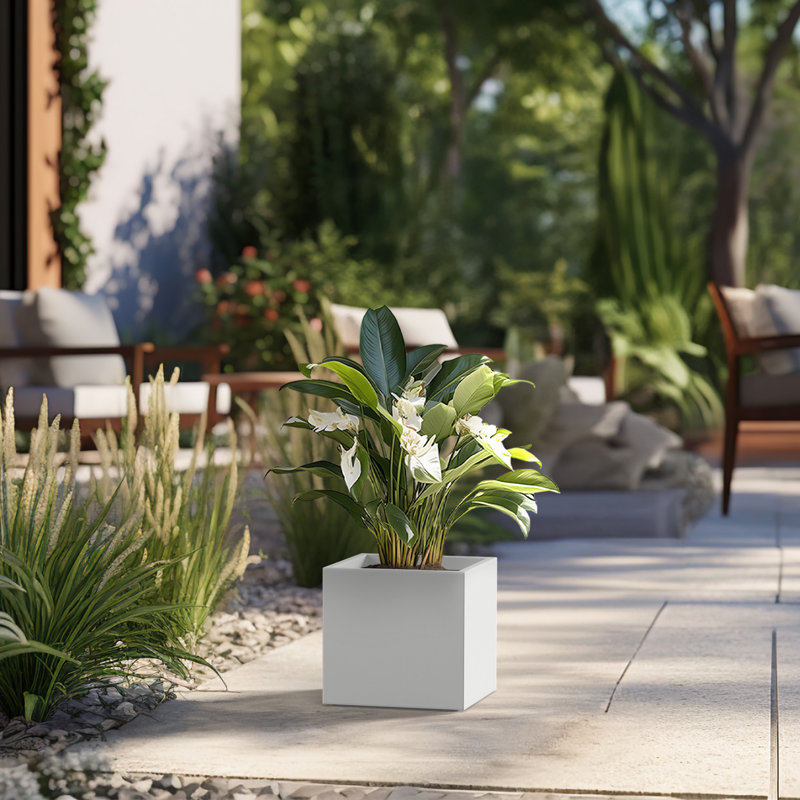 Boîte à fleurs en béton Redegonda, Blanc frais, H 10 po x l 10 po x P 10 po