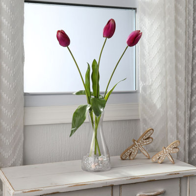 Tulipe Holland 23 "Just Cut