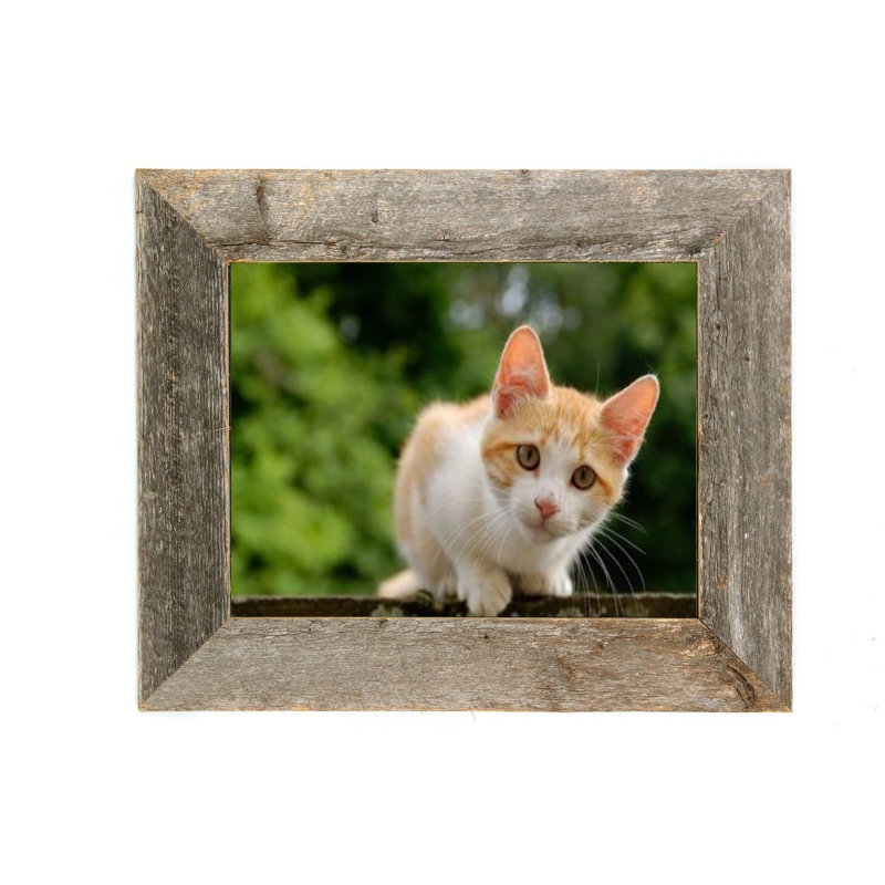 Floreat Rustic Gray Wood Matte Picture Frame, 5" x 7"