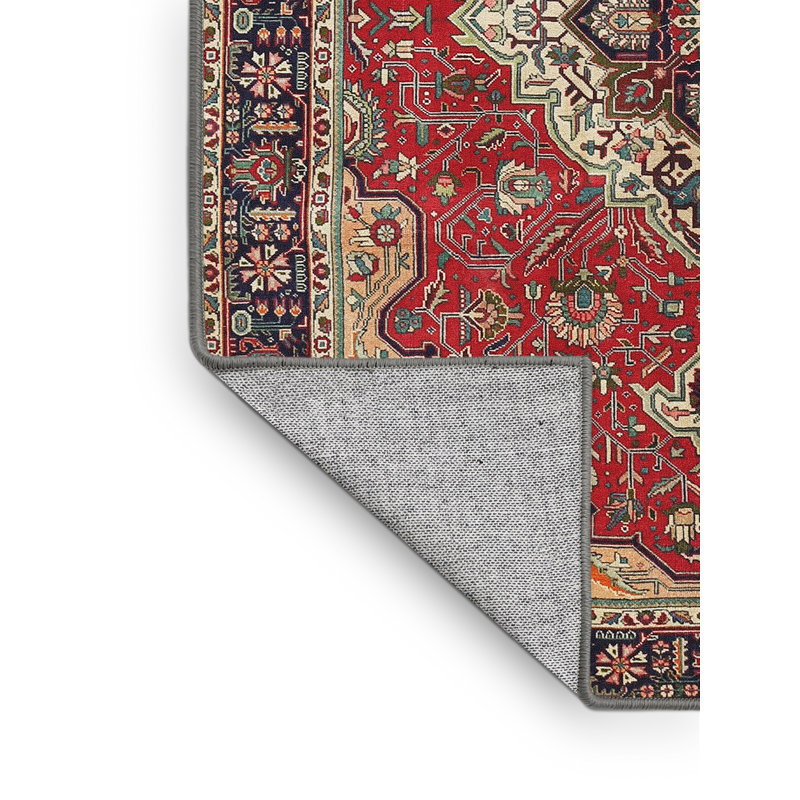 Ceasia Oriental Indoor Rug, Rectangle 7' x 10'