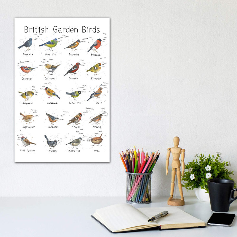«British Garden Birds» par Michelle Campbell - impression d'art graphique, H 12 po x l 8 po x P 0,75 po, Toile tendue