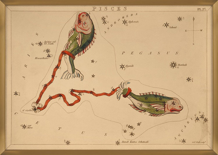 Pisces Print by Grand Archives, Gold Framed, 22" H x 31" W
