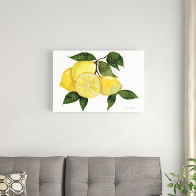Citrus Garden VI by Kathleen Parr McKenna - Wrapped Canvas Painting