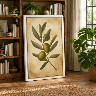 Olive Branch Study Botanical - Wrapped Canvas