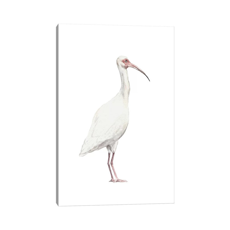 Ibis 1 Piece Wrapped Canvas Painting, 30.48 cm H x 45.72 cm W