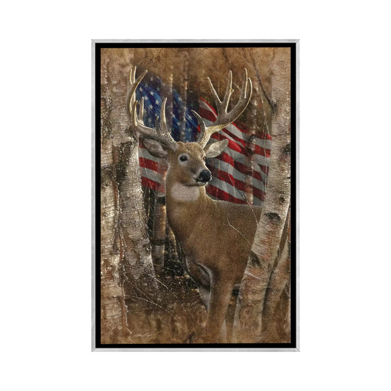 Whitetail Buck America par Collin-gris-impression d’art graphique, Pas de tapis, H 48 po x l 32 po x P 1,5 po