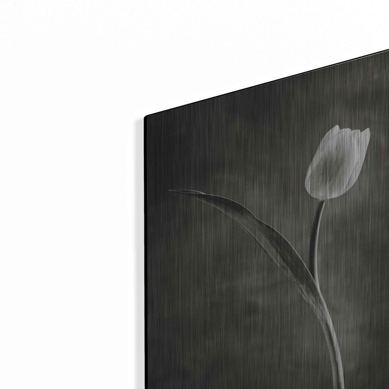«Two Tone Tulips II» par Debra Van Swearingen, H 16 po x l 12 po