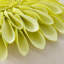  Housse de coussin décoratif à motif floral Appliqued-1627246391