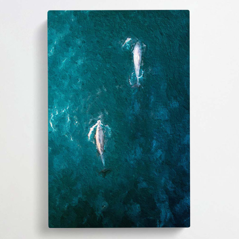 Dolphins Heading North by Pierre-Joseph Redoute - Wrapped Canvas, 76cm H x 50cm W x 3cm D