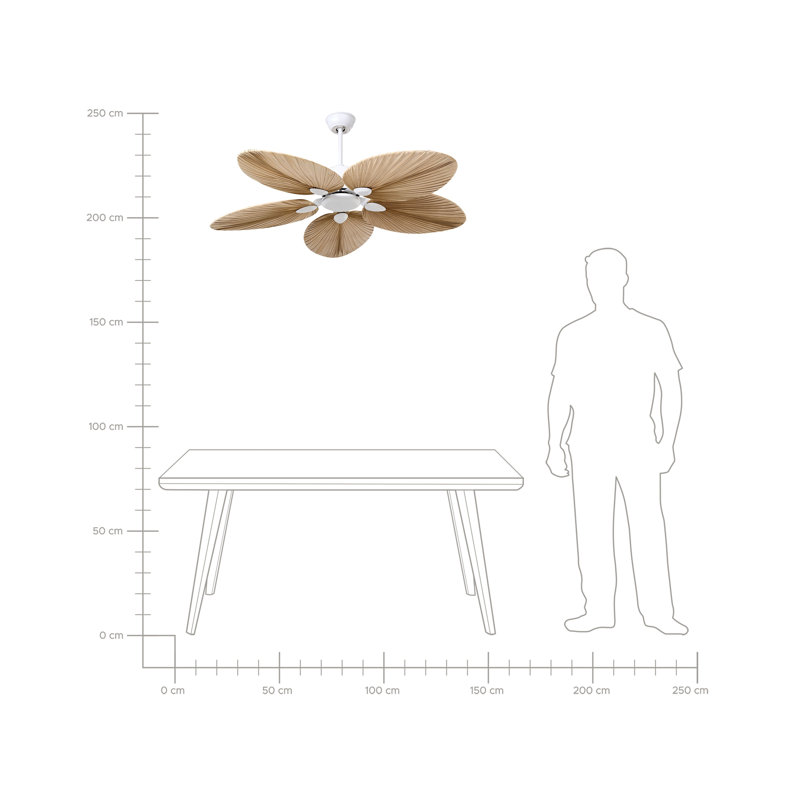 122cm Ceiling Fan
