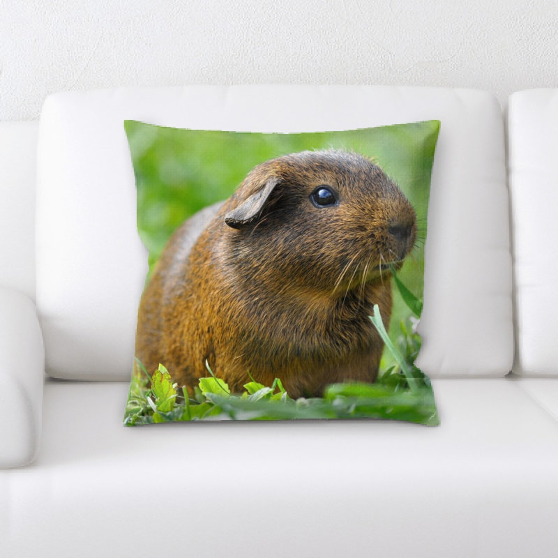 Coussin de cobaye guinée