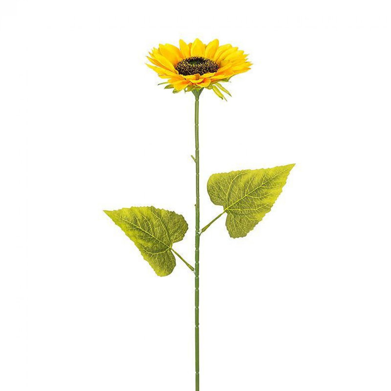 Arrangement de tiges, de buissons et de jets de tournesol