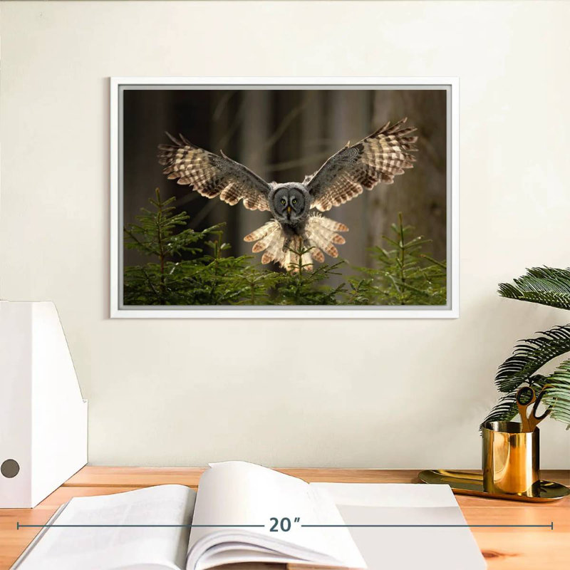 Hibou volant, Cadre flottant blanc, 13 po x 9 po