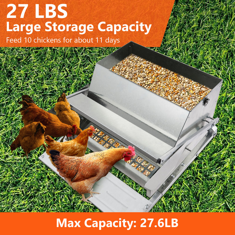 Mangeoires automatiques à poulets avec pédale, mangeoire à volaille en acier galvanisé 27 lb sans déchets, mangeoire à poules résistante aux rat avec 10 poulets - 11 jours
