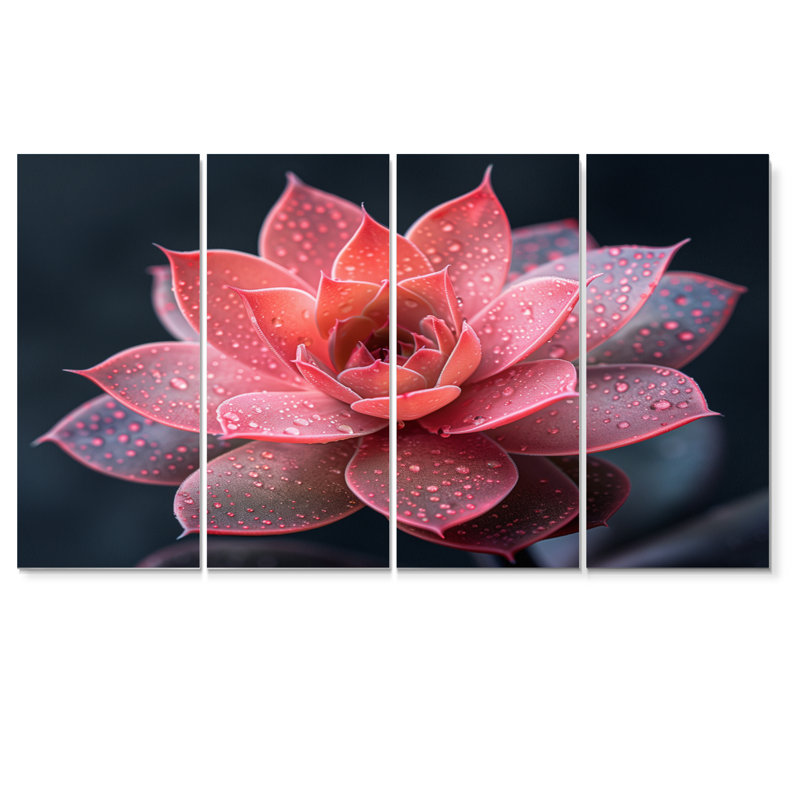 Tousignant - Succulent Wall Decor Set, 32" H x  64" W