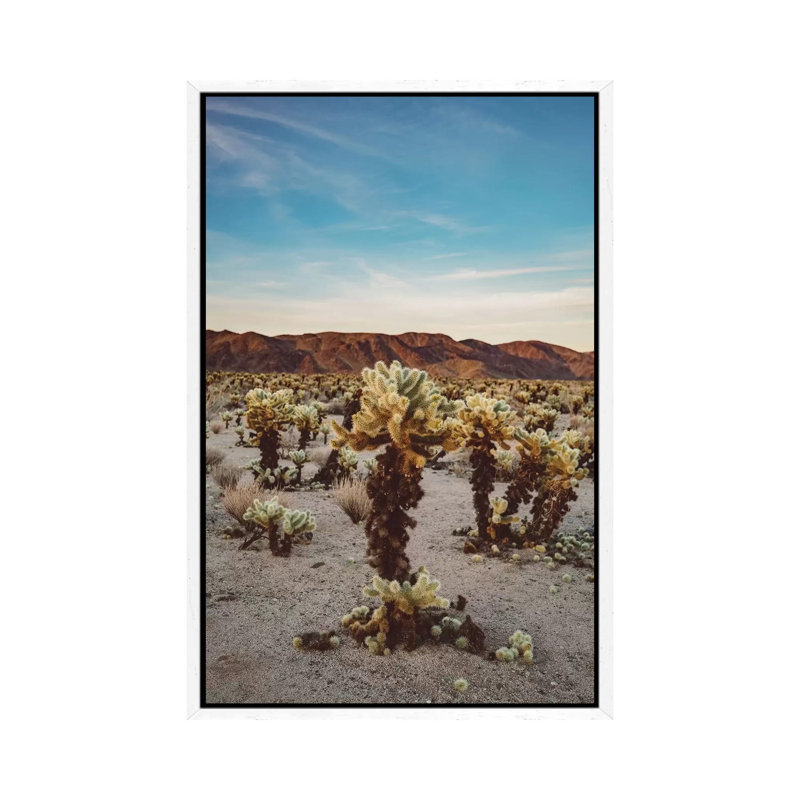 Cholla Cactus Garden II by Bethany Young - Print on Canvas, White Framed, 66.04cm H x 45.72cm W x 3.81cm D