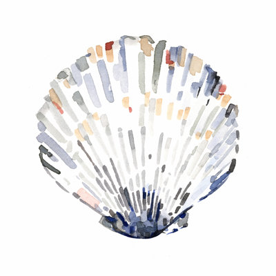 Coquilles simples III
