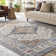 Kucera Flatiron Oriental Gray Area Rug