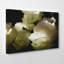 Wrapped Canvas Print-19041496