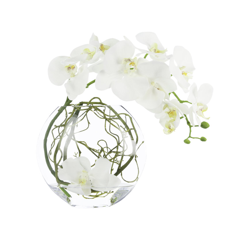 Orchid and Vine Arrangement in Glass Vase, White