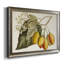 «Tropical Foliage & Fruit IV», peinture sur toile encadrée-1699318411