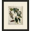 Crackled Insect Collection 1 Painting