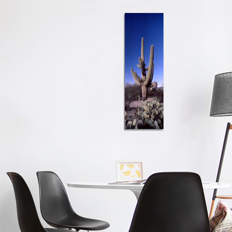Low Angle View Of A Saguaro Cactus - Wrapped Canvas Panoramic Print, 121.92 cm H x 40.64 cm W x 1.91 cm D