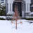 53'' Lighted Trees & Branches-1620829928