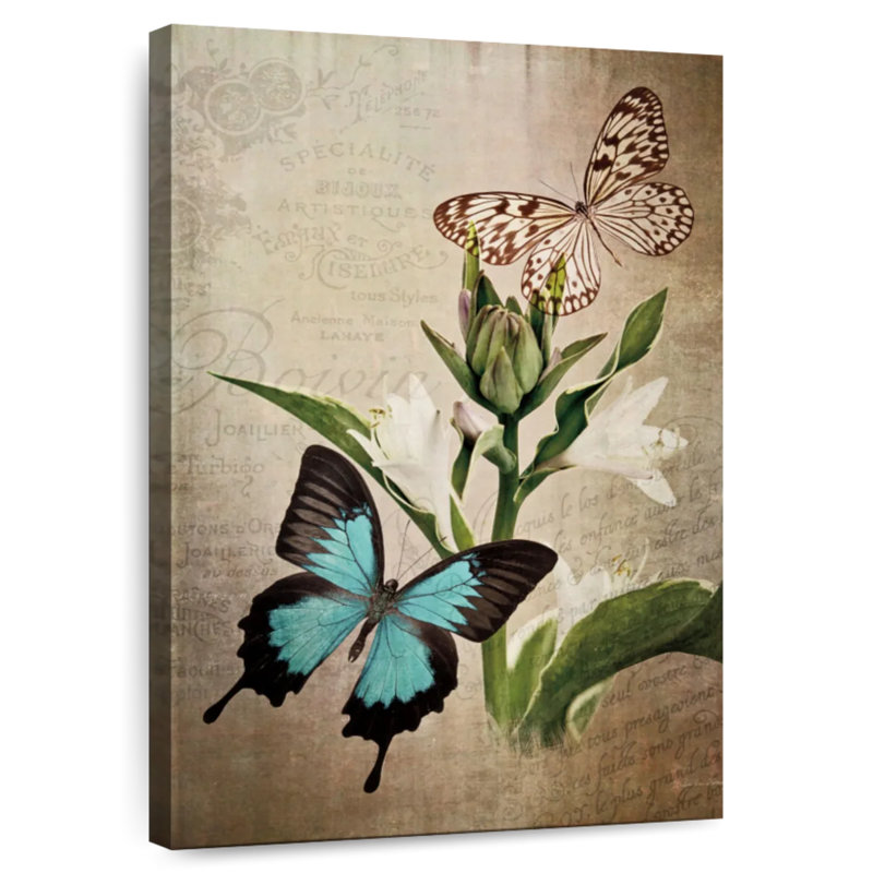 Brampt Butterfly Botanical III, 30" H x 20" W