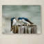 «Angry Swallows», reproduction de photo sur toile tendue Vidur-22069042