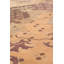 One-of-a-Kind 18' X 25'8" Area Rug