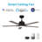 Harperlynn 52'' Ceiling Fan with LED Lights
