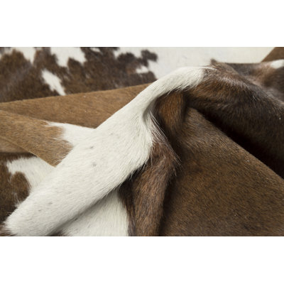 Tapis taupe / blanc Abhinav