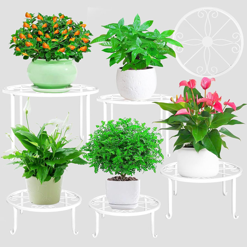 Paquet de 5 supports à plantes robustes en métal, conception ronde pour plusieurs pots de fleurs d'intérieur et d'extérieur